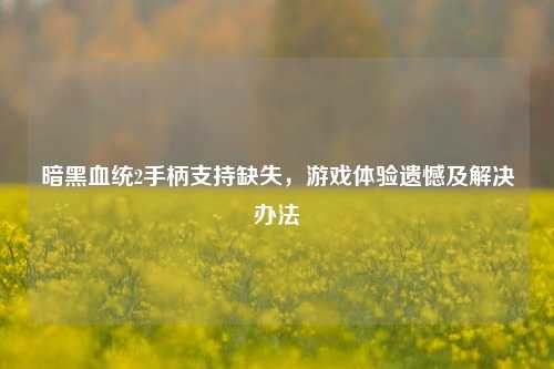 暗黑血统2手柄支持缺失,游戏体验遗憾及解决办法