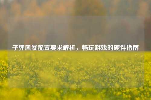 子弹风暴配置要求解析,畅玩游戏的硬件指南