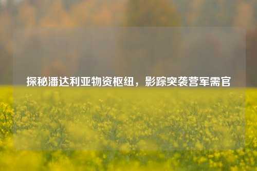 探秘潘达利亚物资枢纽,影踪突袭营军需官