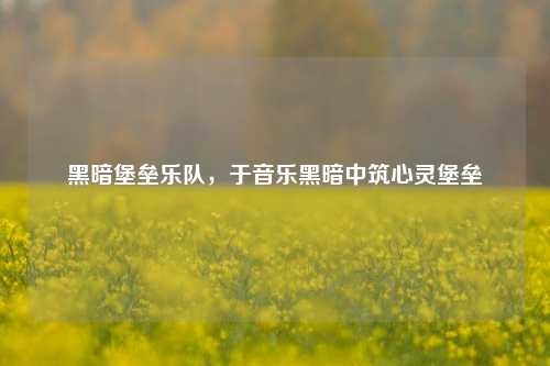 黑暗堡垒乐队,于音乐黑暗中筑心灵堡垒