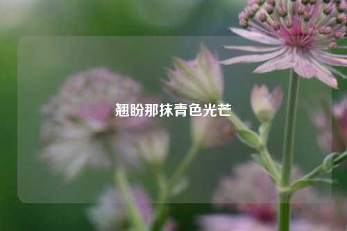 翘盼那抹青色光芒