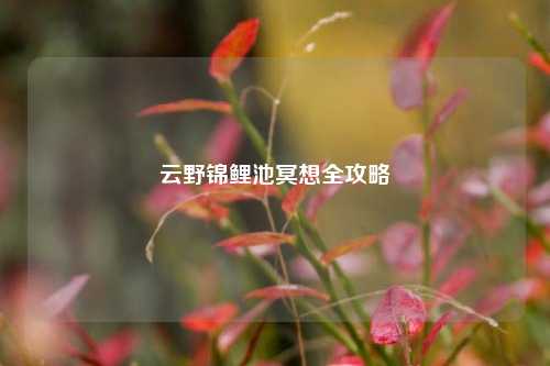 云野锦鲤池冥想全攻略
